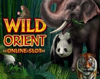 Wild Orient